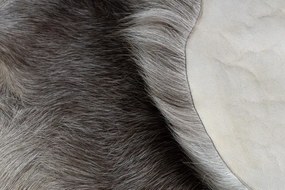 Koberec RENIFER POK018 hnedý / sivý