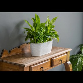 ŠKATUĽA MIKA 270 MM ECO RECYCLED S PODSTAVCOM, BIELA *4704*