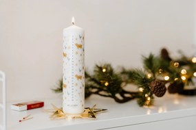 Bella Rose Adventní svíčka Zlaté prasátko