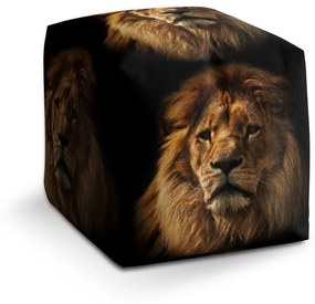 Sablio Taburet Lev: 40x40x40 cm