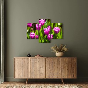 Obraz tulipánov na lúke (90x60 cm)