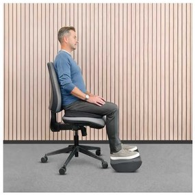 Ergonomický podsedák Fellowes Comfort BREYTA, čierna