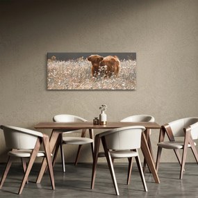 Obraz - Škótska krava v kvete (120x50 cm)