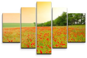 Sablio Obraz - 5-dílný Pole vlčieho maku - 125x90 cm