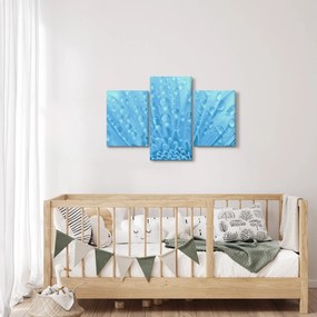 Obraz - Makro záber kvetu (90x60 cm)