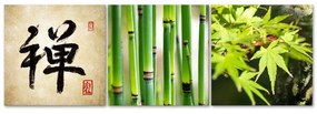 Obraz na plátně třídílný Asie relaxace zen bambus - 90x30 cm
