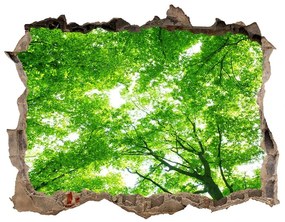Samolepící nálepka fototapeta Green forest nd-k-103615746