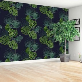 Fototapeta Vliesová Monstera deravá 152x104 cm