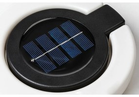 Rabalux 77187 vonkajšia solárna zapichovacia LED lampa Bokod, 0,05 W