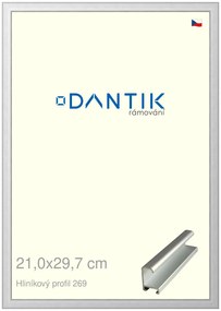 DANTIK rám na obraz 21x29,7 | ALU Stříbrná matná (Sklo Čiré)