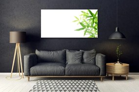 Obraz na akrylátovom skle Listy príroda rastlina 120x60 cm
