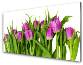 Nástenný panel  Tulipány kvety rastlina 100x50 cm