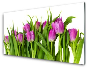 Nástenný panel  Tulipány kvety rastlina 140x70 cm