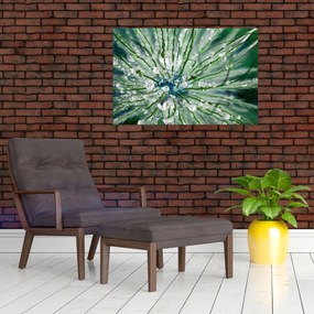Obraz - Makro snímka kvetu (90x60 cm)