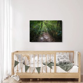 Obraz - Slnečné lúče v džungli (90x60 cm)