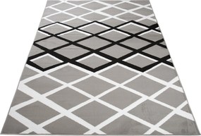 TA Koberec T237B GRAY LUXURY PP ESM Sivý Obdĺžnikový Rozmer: 220x300 cm