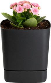 Plastový květináč s podmiskou Cubi 16x16 cm - výber z 6 prevedení