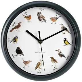Nástenné hodiny Birds, biela/zelená