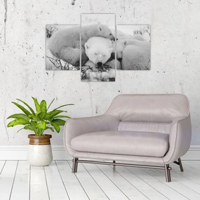 Obraz - Ľadové medvede (90x60 cm)