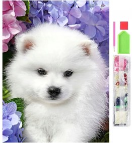 HUR DIAMANTOVÉ MALOVÁNÍ ŠPIC 5D 30X40CM