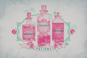 Umelecká tlač Harry Potter - Potions, (40 x 26.7 cm)