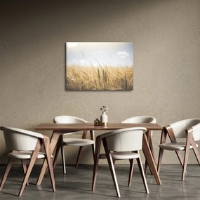 Obraz obilia (70x50 cm)