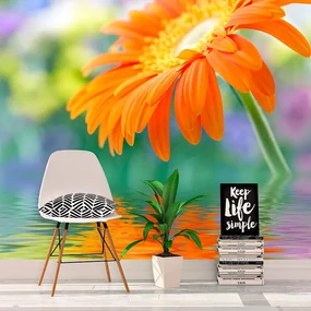 Sablio Tapeta Oranžová gerbera - 125x75 cm