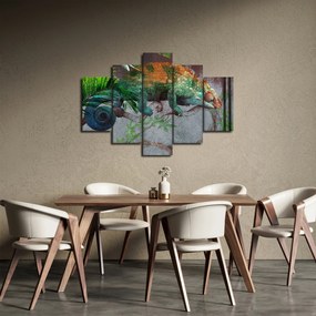 Obraz - Chameleon (150x105 cm)
