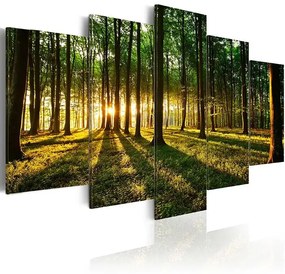 Obraz - Adventure in the woods Veľkosť: 100x50, Verzia: Premium Print