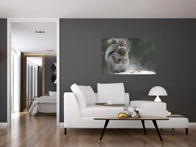 Obraz - Veverička v zime (90x60 cm)