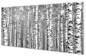 Sklenený obraz Čierna a biela strom 125x50 cm