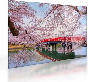 Sklenený obraz - Hirosaki, Japonsko (70x50 cm)
