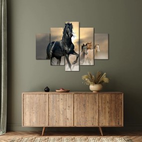Obraz - Kone (150x105 cm)