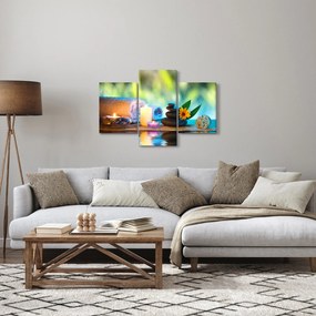 Obraz - Relaxácia (90x60 cm)