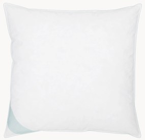Vankúš z peria Comfort, pevný