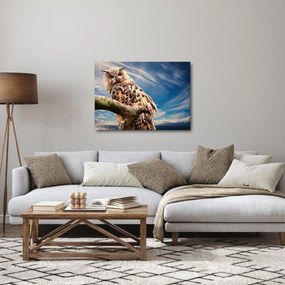 Obraz sovy (70x50 cm)