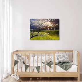 Sklenený obraz - Rozkvitnutý strom v krajine (70x50 cm)
