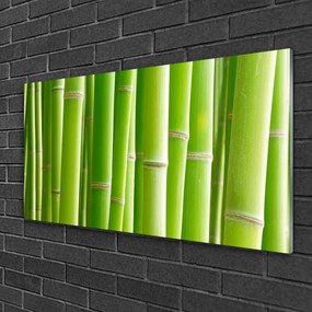 Obraz na skle Bambus stonka kvet rastlina 100x50 cm