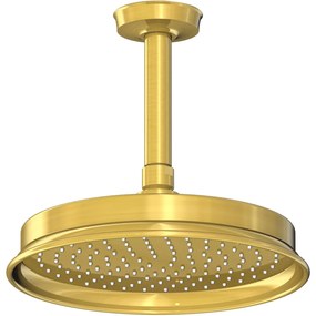 STEINBERG 350 horná sprcha 1jet, priemer 225 mm, s prívodom zo stropu 142 mm, kartáčované zlato, 3501580BG