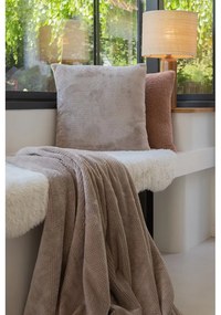 Dekoračný vankúš z mikroplyšu 45x45 cm Pippa – Tiseco Home Studio