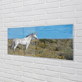 Obraz na akrylátovom skle Unicorn golf 120x60 cm