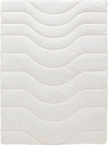 XXXLutz CELOROČNÁ PRIKRÝVKA, 135/200 cm, polyester, lyocel, kapok Sleeptex - Prikrývky & vankúše - 004196001901