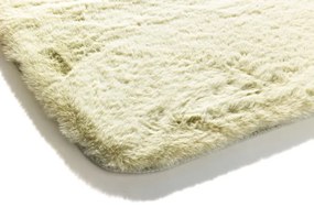 Kúpeľňový koberček Moyo mätový