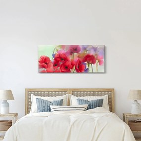 Obraz vlčích makov (120x50 cm)
