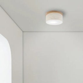 Brilagi - LED Stropné svietidlo BELLADONNA 1xE27/15W/230V pr. 30 cm krémová/dub