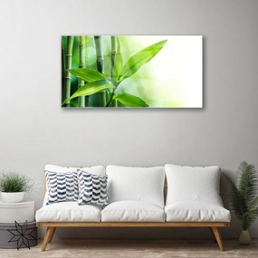 Obraz plexi Bambus list rastlina príroda 100x50 cm