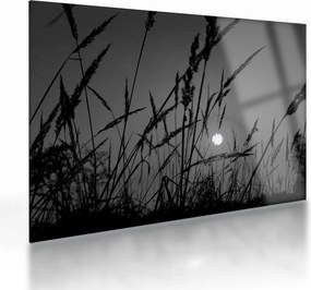 Sklenený obraz - Lúka so západom slnka (70x50 cm)