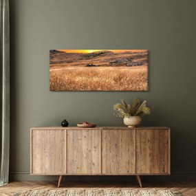 Obraz pole (120x50 cm)