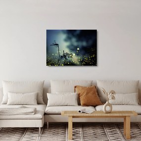 Sklenený obraz - Vážka za trblietavej noci (70x50 cm)