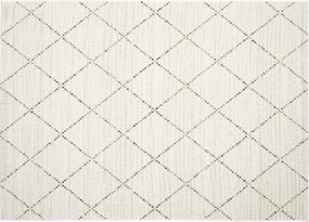 TA Koberec 19436/062 DŽUNGĽA Rozmer: 160x230 cm